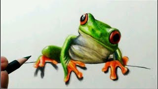 色鉛筆でカエルを描いてみた アカメアマガエル編 Draw a realistic frog