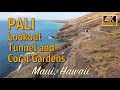 4K Drone: Pali Lookout, Tunnel and Coral Garden - Maui, Hawaii - Oct 2, 2021