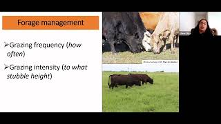 Grazing management concepts