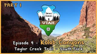 Hiking Diaries: Utah - Episode 4, Part 1 - Kolob Canyons, Taylor Creek Trail