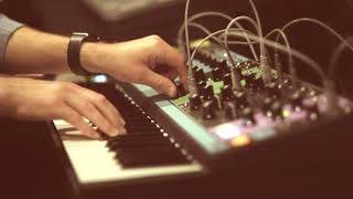 Moog Matriarch: Fourth Pass - Obligatory Lush Video