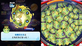 ぷにぷに「タップ技では初のスキル持ち!!」新キャラUz枝魔目さま使ってみた！