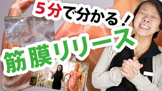 【筋膜リリースって何？！❶】海外の教材で分かった筋膜リリースの真実を５分で解説