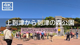 【2023年4月】JR九州ウォーキング2023春 板櫃川のこいのぼりと動物たちがいきいきと暮らす到津の森公園 後篇【4K】