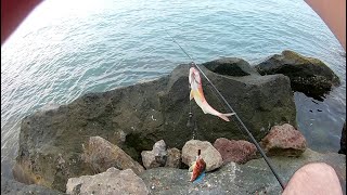 TRABZON'DA HARİKA BARBUN AVI İKİLİ TAKIM HAZIRLAMA (BLACKSEA FISHING  RED FISHE)