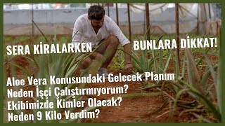 Aloe Vera Üretiminde Cam Sera ve Naylon (Plastik) Sera Farkları, Sera Kiralama