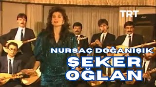 Nursaç DOĞANIŞIK - Şeker Oğlan