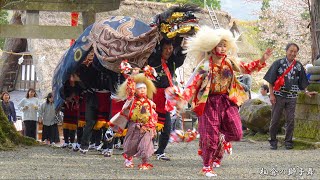 相倉の獅子舞 五箇山の春祭り 2024年 / 富山県南砺市 / 世界遺産合掌造り集落