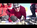 cloud wolves of the kaska coast northern adventures in churchill manitoba