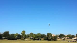 Kenny's flying Gaui X7 with Halo blades