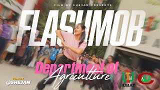 Flashmob at IUBAT | Flashmob 2024 | IUBAT Agriculture Society - IAS | Saimun Muntasir Shejan