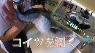 衝撃の奇形！！釣れたハマチを捌いてみた。