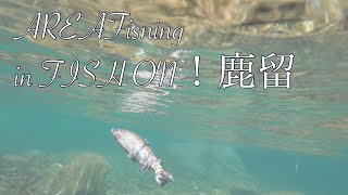 新緑シーズンのエリアフィッシング in Fish on!鹿留