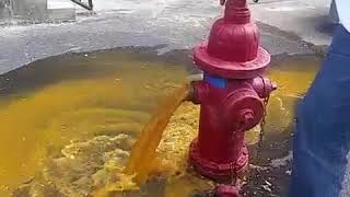 Hydrant Flush before gauge// tichnical