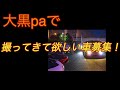 大黒パーキングエリアで撮ってきて欲しい車コメント欄に書いてください！