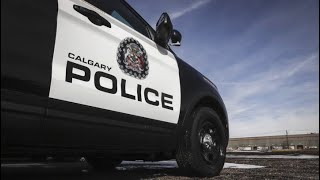 Calgary Crime Stats Decline In 2024