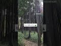 조내기 고구마 역사공원🌲피톤치드 맡으며 사방 팔방 뚫려있는 바다 뷰와 가을 하늘 영도 영도가볼만한곳 조내기고구마역사공원 부산산책하기좋은곳 부산편백나무숲 부산언니