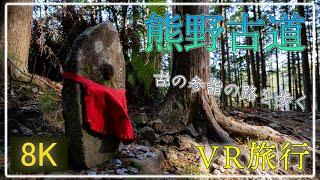 古代の参詣道 熊野古道を歩く【QooCam8K 360°VR旅行】