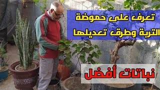 من أجل نباتات أفضل من الضروري التعرف على حموضة التربة الزراعية وطريقة تعديلها pH soil