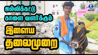 ஜல்லிக்கட்டு காளை வளர்க்கும் இளைய தலைமுறை / Jallikattu ☎️ Hello Madurai