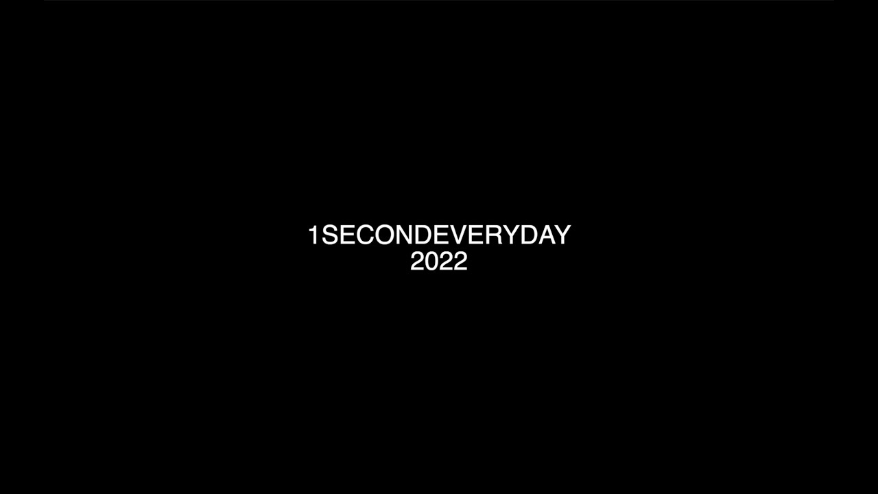 One Second Everyday 2022 Youtube