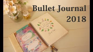 バレットジャーナルはじめました⭐️Bullet Journal 2018 ,January&February