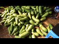 কাওরান বাজার পাইকারি সবজি আড়ৎ wholsale vegetable price in dhaka আজকের সবজির বাজার দর