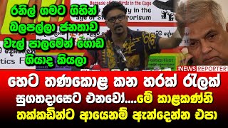 🔺හෙට තණකොළ කන හරක් රැලක් සුගතදාසෙට එනවෝ....මේ කාළකණ්නි තක්කඩින්ට ආයෙනම් ඇන්දෙන්න එපා