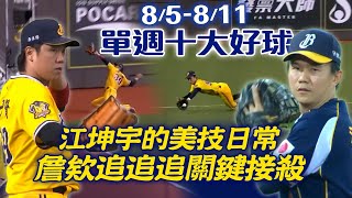 中職 》8/5-8/11單週 十大好球 ⚾ 江坤宇 美技日常 詹子賢 追追追關鍵接殺【MOMO瘋運動】