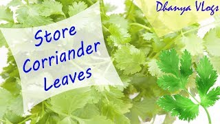 How to store coriander leaves fresh for long (മല്ലിയില എങ്ങനെ ഫ്രഷ് ആയി സൂക്ഷിക്കാം )