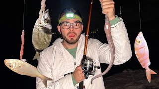 ON PÊCHE DES POISSONS TOUT LES 5 MIN ! (Pêche en mer de nuit)