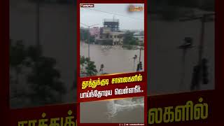 இது ரோடா இல்ல ஆறா?.. தூத்துக்குடி சாலைகளில் பாய்ந்தோடிய வெள்ளநீர் | Thoothukudi Floods