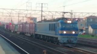 EF510 500番台トプナン501号機牽引岐阜タ発名古屋タ行2070レ清洲通過