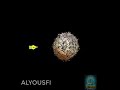 Free After Effects Project Shatter broken Easy Tutorial for beginners Short After Effects Tutorial