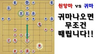 [타이슨장기 2158회] 고등마 나오면 무조건 포로 칩니다!!