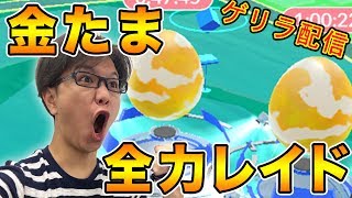 【ポケモンGO】奇跡のダブル金レイド!!生配信で協力バトル!【Pokemon GO】