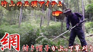 竹林整備【夏の竹山必須　防虫網付き帽子をかぶってひたすら草刈り】（背負い式草刈り機チップソーで草刈り）