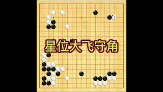 围棋星位大飞守角定式的后续变化，都是常见形解说，建议收藏。