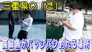 【釣り】三重県の超お得な釣り堀で高級魚を爆釣でニッコリ【佐助屋】