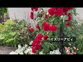 🌹【５月のオープンガーデン】バラの咲く頃再び伺いました。