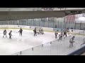 michigan goal by nela lopusanova of rochester youth hockey