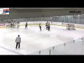 michigan goal by nela lopusanova of rochester youth hockey