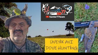 ÜVEYİK AVI - 2024 -2025 AV SEZONU - DOVE HUNTİNG - SHOTKAM - BROWNİNG MAXUS - HUNTER 77 team