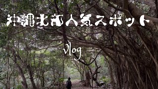 【沖縄北部人気スポット】大石林山/大宜見村の海/辺戸岬/大宜見村の滝/宮里そば/カヌチャ