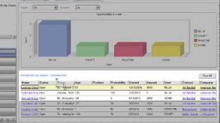 Goldmine CRM Dashboards