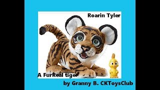 Roarin Tyler, the Playful Tiger. FurReal toy made by Hasbro. Review by Granny B.