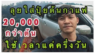 ลุยใส่ปุ๋ยต้นกาแฟ 20,000 กว่าต้น ใช้เวลาแค่ครึ่งวัน