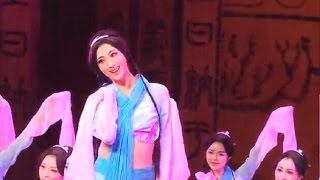 Beautiful Chinese Classical Dance【5】《采薇舞》D-16人舞 480p