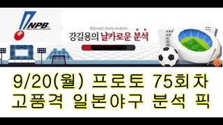 9월20일(월) 고품격 일본야구 분석 픽. 스포츠토토 배트맨 프로토 75회차. NPB분석 야구픽 야구분석.