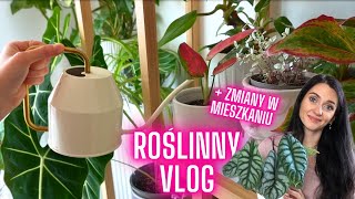 🌿 Roślinny vlog + nowy mebel w mieszkaniu! 🌿Gosia i Miłosz Vlog